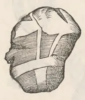 Picture 26 of 43 from Vlyssis Aldrouandi patricii Bononiensis Musaeum metallicum : in libros iiii distributum (1648), leaf 742