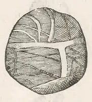 Picture 29 of 43 from Vlyssis Aldrouandi patricii Bononiensis Musaeum metallicum : in libros iiii distributum (1648), leaf 747