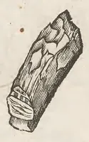 Picture 39 of 43 from Vlyssis Aldrouandi patricii Bononiensis Musaeum metallicum : in libros iiii distributum (1648), leaf 866