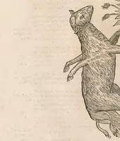 An illustration from Vlyssis Aldrouandi patricii Bononiensis Monstrorum historia : cum Paralipomenis historiae omnium animalium (1642)