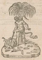 Picture 6 of 6 from Vlyssis Aldrouandi patricii Bononiensis Quadrupedum omniu[m] bisulcoru[m] historia (1621), leaf 1070