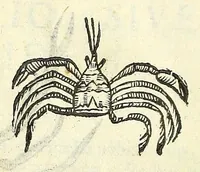 Picture 13 of 73 from Vlyssis Aldrouandi philosophi, et medici Bononiensis De reliquis animalibus exanguibus libri quatuor : post mortem eius editi : nempe de mollibus, crustaceis, testaceis, et zoophytis (1606), leaf 216