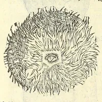An illustration from Vlyssis Aldrouandi philosophi, et medici Bononiensis De reliquis animalibus exanguibus libri quatuor : post mortem eius editi : nempe de mollibus, crustaceis, testaceis, et zoophytis (1606)