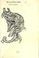 Picture 20 of 29 from Vlyssis Aldrouandi patricii Bononiensis Serpentum et draconu[m] historiae libri duo (1640), leaf 325