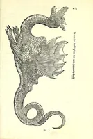 Picture 29 of 29 from Vlyssis Aldrouandi patricii Bononiensis Serpentum et draconu[m] historiae libri duo (1640), leaf 433