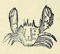 Picture 9 of 66 from Vlyssis Aldrovandi philosophi, et medici Bononiensis, De reliquis animalibus exanguibus libri quatuor (1606), leaf 210