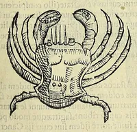 Picture 11 of 66 from Vlyssis Aldrovandi philosophi, et medici Bononiensis, De reliquis animalibus exanguibus libri quatuor (1606), leaf 215