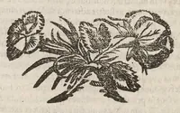 An illustration from Vlyssis Aldrovandi patricii Bononiensis De quadrupedibus solidipedibus volumen integrum (1639)