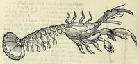 Picture 6 of 71 from Vlyssis Aldrovandi philosophi, et medici Bononiensis De reliquis animalibus exanguibus libri quatuor (1642), leaf 162