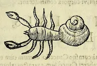 An illustration from Vlyssis Aldrovandi philosophi, et medici Bononiensis De reliquis animalibus exanguibus libri quatuor (1642)