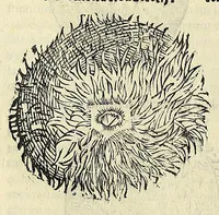 Picture 33 of 71 from Vlyssis Aldrovandi philosophi, et medici Bononiensis De reliquis animalibus exanguibus libri quatuor (1642), leaf 416