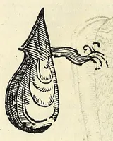 An illustration from Vlyssis Aldrovandi philosophi, et medici Bononiensis De reliquis animalibus exanguibus libri quatuor (1642)