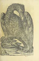 Picture 4 of 36 from Vlyssis Aldrovandi philosophi ac medici Bononiensis historiam naturalem in gymnasio Bononiensi profitentis, Ornithologiae, hoc est, De avibus historiae libri XII ... : cum indice septendecim linguarum copiosissimo (1599), leaf 143