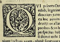 An illustration from Vlyssis Aldrovandi philosophi ac medici Bononiensis historiam naturalem in gymnasio Bononiensi profitentis, Ornithologiae, hoc est, De avibus historiae libri XII ... : cum indice septendecim linguarum copiosissimo (1599)