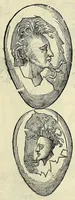 An illustration from Vlyssis Aldrovandi philosophi ac medici Bononiensis historiam naturalem in gymnasio Bononiensi profitentis, Ornithologiae, hoc est, De avibus historiae libri XII ... : cum indice septendecim linguarum copiosissimo (1599)