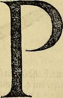 Picture 159 of 236 from Vnderweysung der Messung : mit dem Zirkel vn[d] Richtscheyt in Linien, Ebnen vnnd gantzen Corporen (1525), leaf 124