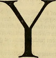 An illustration from Vnderweysung der Messung : mit dem Zirkel vn[d] Richtscheyt in Linien, Ebnen vnnd gantzen Corporen (1525)
