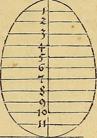 Picture 35 of 236 from Vnderweysung der Messung : mit dem Zirkel vn[d] Richtscheyt in Linien, Ebnen vnnd gantzen Corporen (1525), leaf 34