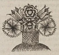 Picture 3 of 19 from Vniversae geometriae, mixtaeqve mathematicae synopsis, et bini refractionvm demonstratarvm tractatvs (1644), leaf 354