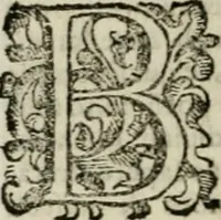 An illustration from Vocabolario toscano dell' arte del disegno : nel quale si esplicano i propri termini e voci, non solo della pittura, scultura & architettura, ma ancora di altre arti a quelle subordinate, e che abbiano per fondamento il disegno : con la notizia de'nomi e qualità delle gioie, metalli, pietre dure, marmi, pietre tenere, sassi, legnami, colori, strumenti, ed ogn'altra materia, che seruir possa, tanto alla costruzione di edificj e loro ornato, quanto alla stessa pittura e scultura (1681)