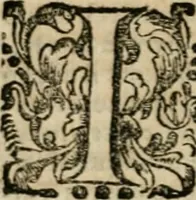 An illustration from Vocabolario toscano dell' arte del disegno : nel quale si esplicano i propri termini e voci, non solo della pittura, scultura & architettura, ma ancora di altre arti a quelle subordinate, e che abbiano per fondamento il disegno : con la notizia de'nomi e qualità delle gioie, metalli, pietre dure, marmi, pietre tenere, sassi, legnami, colori, strumenti, ed ogn'altra materia, che seruir possa, tanto alla costruzione di edificj e loro ornato, quanto alla stessa pittura e scultura (1681)
