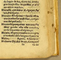 An illustration from Vocabulario de la lengua aymara. Primera parte, : donde por abecedario se ponen en primer lugar los vocablos de la lengua española para buscar los que les corresponden enla lengua aymara. Compuesto por el P. Ludouico Bertonio .italiano dela Compañia de Iesus enla Prouincia del Piru, delas Indias Occidentales, natural de la Roca contrada dela Marca de Ancona. (1612)