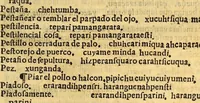 An illustration from Vocabulario en lengua de Mechuacan (1559)