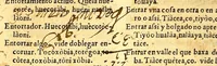 An illustration from Vocabulario en lengua çapoteca, (1578)