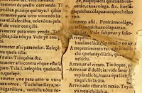 An illustration from Vocabulario en lengua çapoteca, (1578)