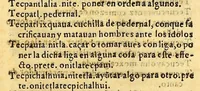 An illustration from Vocabulario en lengua castellana y mexicana, (1571)