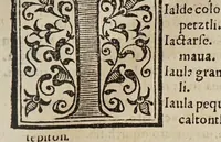 An illustration from Vocabulario en lengua castellana y mexicana (1571)