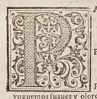 An illustration from Vocabulario en lengua castellana y mexicana (1571)