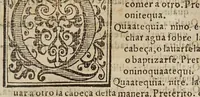 An illustration from Vocabulario en lengua castellana y mexicana (1571)