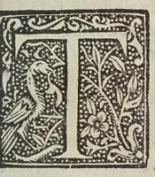 An illustration from Vocabulario manual de las lenguas castellana, y mexicana : en que se contienen las palabras, preguntas, y respuestas mas co[m]munes, y ordinarias que se suelen offrecer en el trato, y communicacion entre Españoles, é Indios (1611)