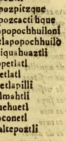 An illustration from Vocabulario manual de las lenguas castellana, y mexicana. : En que se contienen las palabras, preguntas y respuestas mas comunes y ordinarias que se suelen ofrecer en el trato y comunicacion entre Españoles, è Indios. (1690)