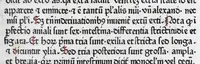 An illustration from Vocabularius rerum