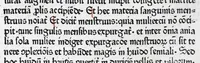 An illustration from Vocabularius rerum