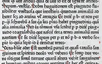 An illustration from Vocabularius rerum