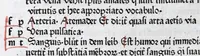 An illustration from Vocabularius rerum