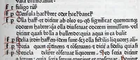 An illustration from Vocabularius rerum