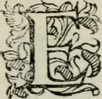 An illustration from Vocabularo de las dos lenguas toscana y castellana (1587)