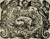 An illustration from Vocabularo de las dos lenguas toscana y castellana (1587)