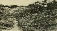 An illustration from Volharding 1905 (1905)