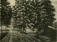 An illustration from Volharding 1905 (1905)