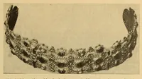 An illustration from Volkskunst der Balkanländer in ihren grundlagen (1919)