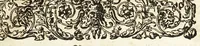 An illustration from Vollkommener ergäntzter Pferdt-Schatz : ausz reiffer Erwegung der Natur, Vernunfft und offtmahligen Erfahrung entstanden ... : Alles in Gestalt einer ausführlichen leicht verständlichen und begreifflichen Theoria und auff dieselbe gegründete Praxis verfasset .. (1664)