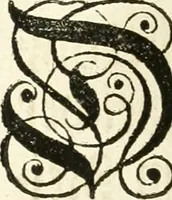 An illustration from Vollständiges Diarium von den merckwürdigsten Begebenheiten die sich vor, in und nach der höchst-beglückten Wahl und Crönung des allerdurchlauchtigsten, grossmächtigsten und unüberwindlichsten Fürsten und Herrn, Herrn Carls des VII., erwehlten Römischen Kaysers ... im gantzen Heil. Röm. Reich, und sonderlich in dieser freyen Reichs- und Wahl-Stadt Franckfurt am Mayn zugetragen : nebst umständlicher Beschreibung der Ein- und Aufzüge, Freuden-Feste, und übrigen feyerlichen Handlungen, sammt vielen Urkunden, Portraits, und andern Kupferstichen : auch einem Anhang von Beylagen, und ausführlichem Register .. (1742)