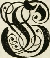 An illustration from Vollständiges Diarium von den merckwürdigsten Begebenheiten die sich vor, in und nach der höchst-beglückten Wahl und Crönung des allerdurchlauchtigsten, grossmächtigsten und unüberwindlichsten Fürsten und Herrn, Herrn Carls des VII., erwehlten Römischen Kaysers ... im gantzen Heil. Röm. Reich, und sonderlich in dieser freyen Reichs- und Wahl-Stadt Franckfurt am Mayn zugetragen : nebst umständlicher Beschreibung der Ein- und Aufzüge, Freuden-Feste, und übrigen feyerlichen Handlungen, sammt vielen Urkunden, Portraits, und andern Kupferstichen : auch einem Anhang von Beylagen, und ausführlichem Register .. (1742)