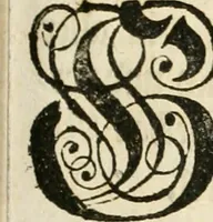 An illustration from Vollständiges Diarium von den merckwürdigsten Begebenheiten die sich vor, in und nach der höchst-beglückten Wahl und Crönung des allerdurchlauchtigsten, grossmächtigsten und unüberwindlichsten Fürsten und Herrn, Herrn Carls des VII., erwehlten Römischen Kaysers ... im gantzen Heil. Röm. Reich, und sonderlich in dieser freyen Reichs- und Wahl-Stadt Franckfurt am Mayn zugetragen : nebst umständlicher Beschreibung der Ein- und Aufzüge, Freuden-Feste, und übrigen feyerlichen Handlungen, sammt vielen Urkunden, Portraits, und andern Kupferstichen : auch einem Anhang von Beylagen, und ausführlichem Register .. (1742)