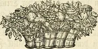 An illustration from Vollständiges Diarium von den merckwürdigsten Begebenheiten die sich vor, in und nach der höchst-beglückten Wahl und Crönung des allerdurchlauchtigsten, grossmächtigsten und unüberwindlichsten Fürsten und Herrn, Herrn Carls des VII., erwehlten Römischen Kaysers ... im gantzen Heil. Röm. Reich, und sonderlich in dieser freyen Reichs- und Wahl-Stadt Franckfurt am Mayn zugetragen : nebst umständlicher Beschreibung der Ein- und Aufzüge, Freuden-Feste, und übrigen feyerlichen Handlungen, sammt vielen Urkunden, Portraits, und andern Kupferstichen : auch einem Anhang von Beylagen, und ausführlichem Register .. (1742)